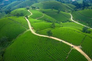 Rwanda