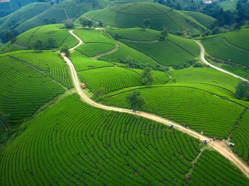 Rwanda