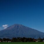 Arrivée à Kilimandjaro et transfert à Arusha - Arusha, Tanzanie