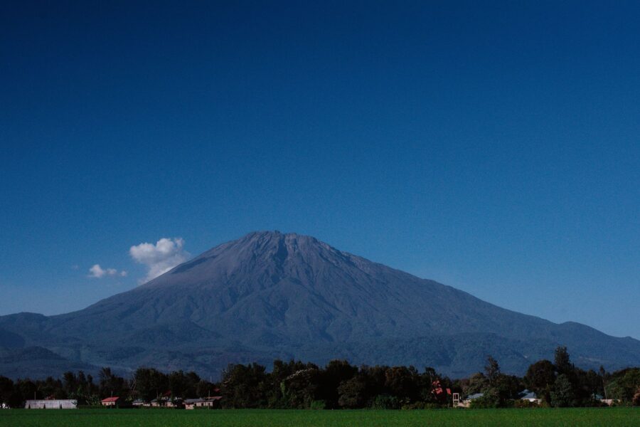 Arrivée à Kilimandjaro et transfert à Arusha - Arusha, Tanzanie