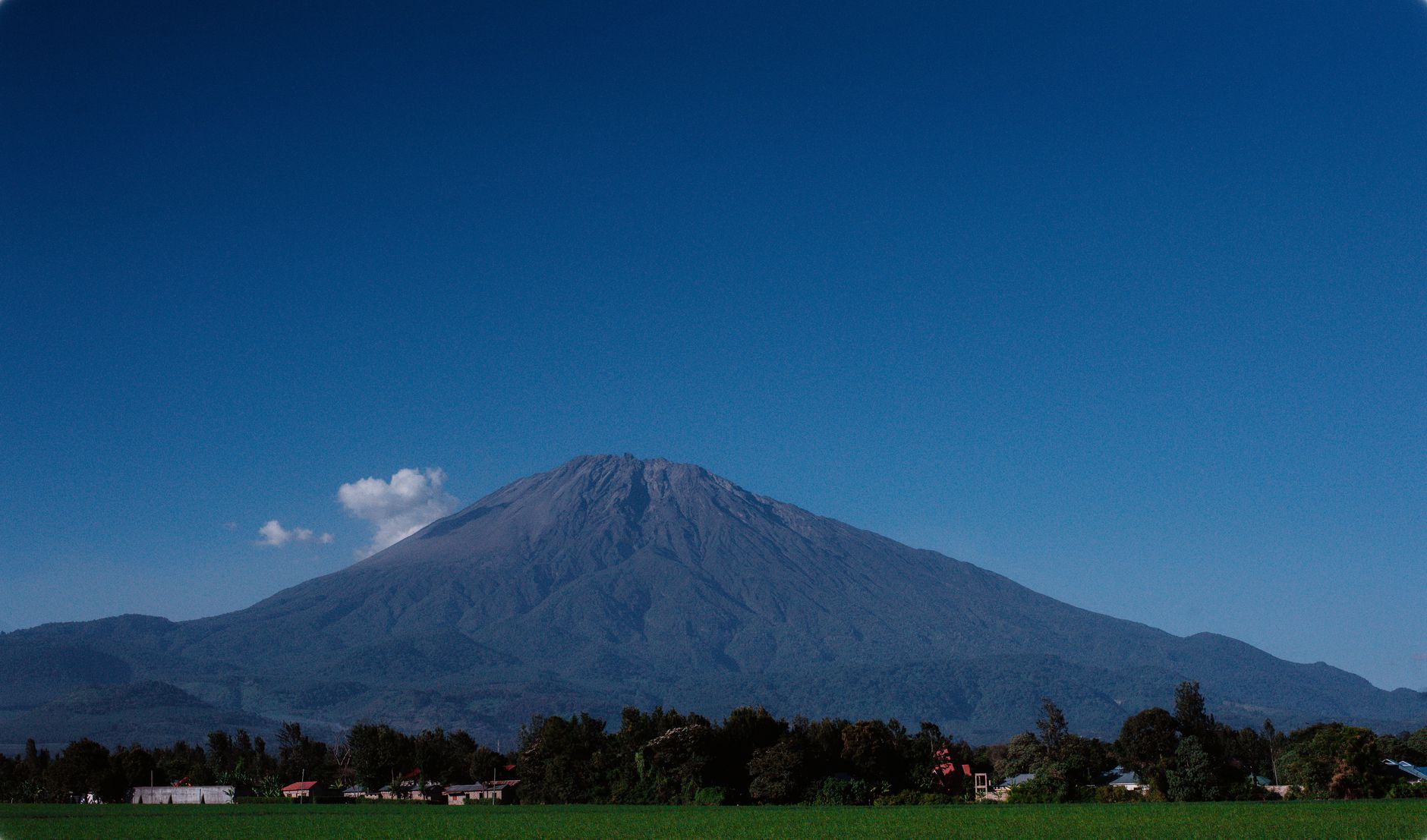 Arrivée à Kilimandjaro et transfert à Arusha - Arusha, Tanzanie