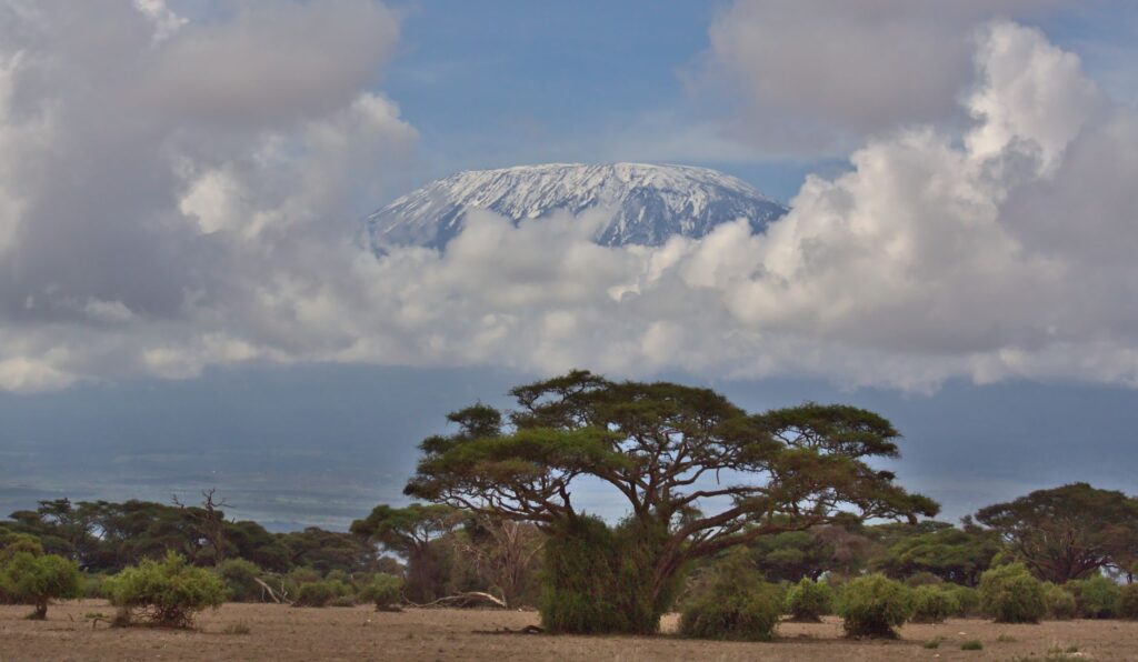 Navigation sur le lac et safari pédestre - Lac Naivasha - Amboseli, Kenya