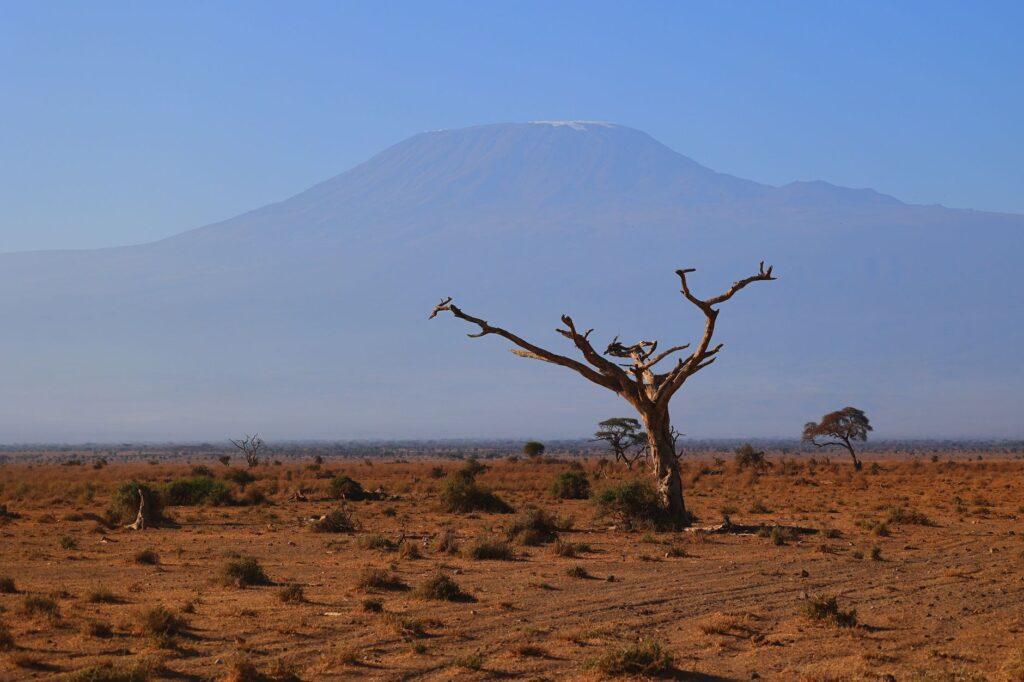 Journée complète de safari à Amboseli - Parc National d'Amboseli, Kenya