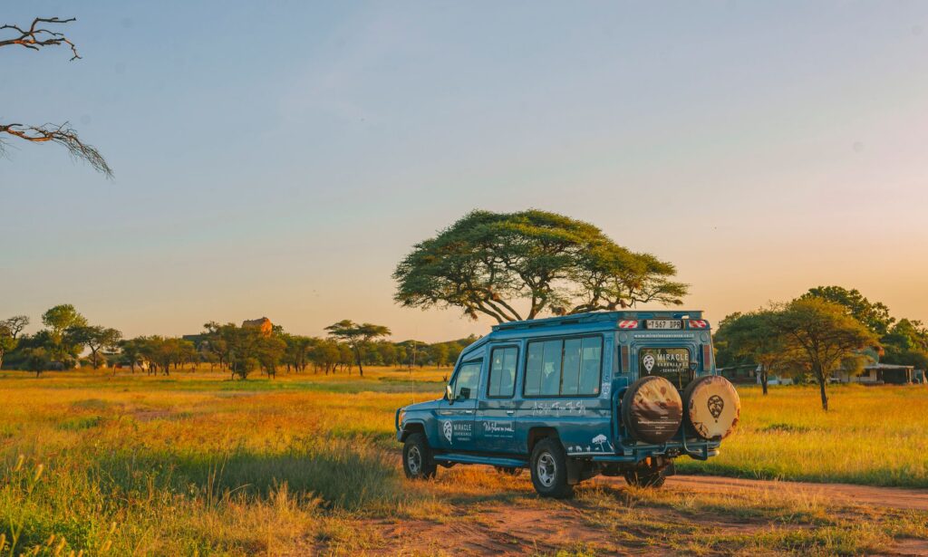 Journée complète de safari au Serengeti - Parc National du Serengeti, Tanzanie
