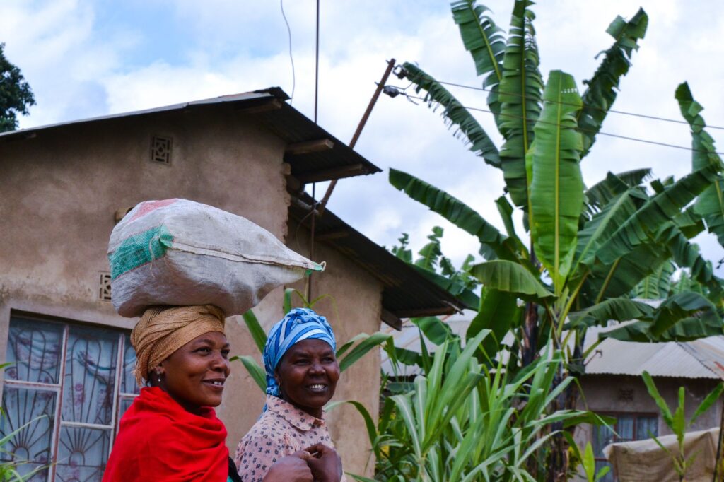 Village de Mto Wa Mbu et plantation de café - Tarangire - Karatu, Tanzanie