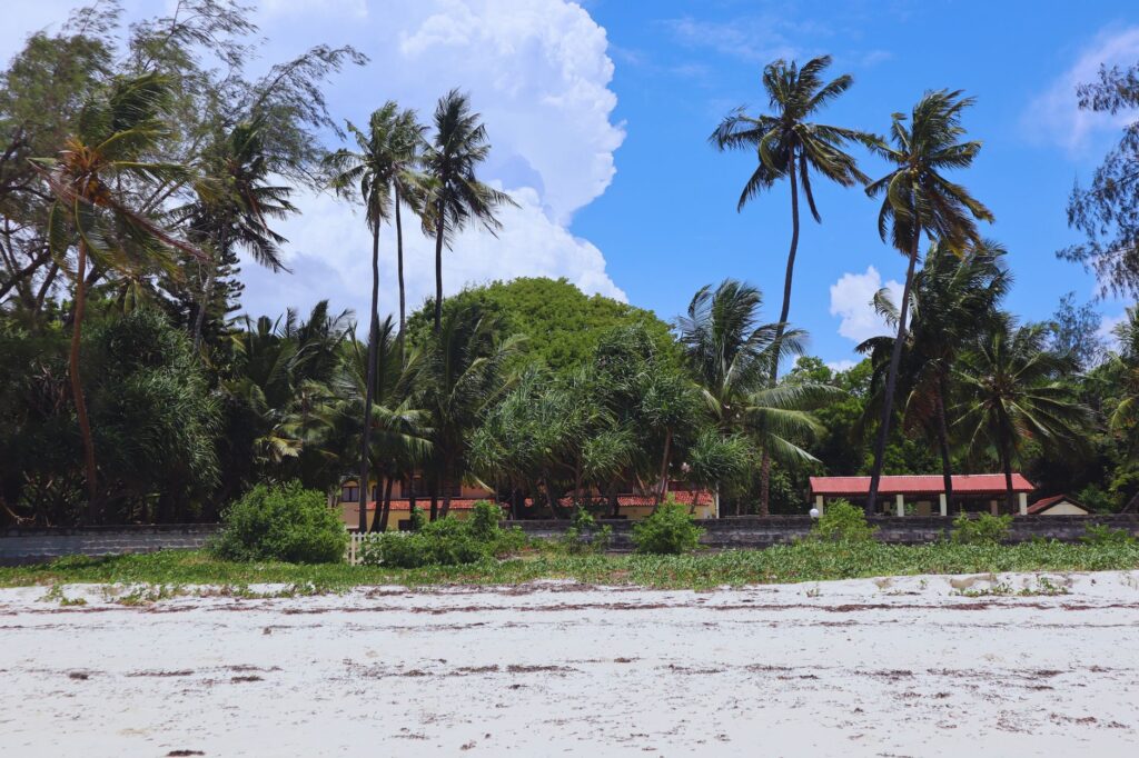 Journée libre à Diani Beach - Plages de Diani, Kenya