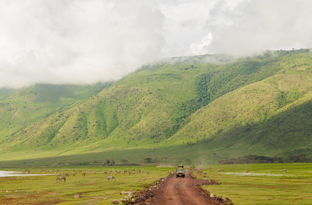 Cratère du Ngorongoro et route vers le Serengeti - Cratère du Ngorongoro - Parc National du Serengeti, Tanzanie