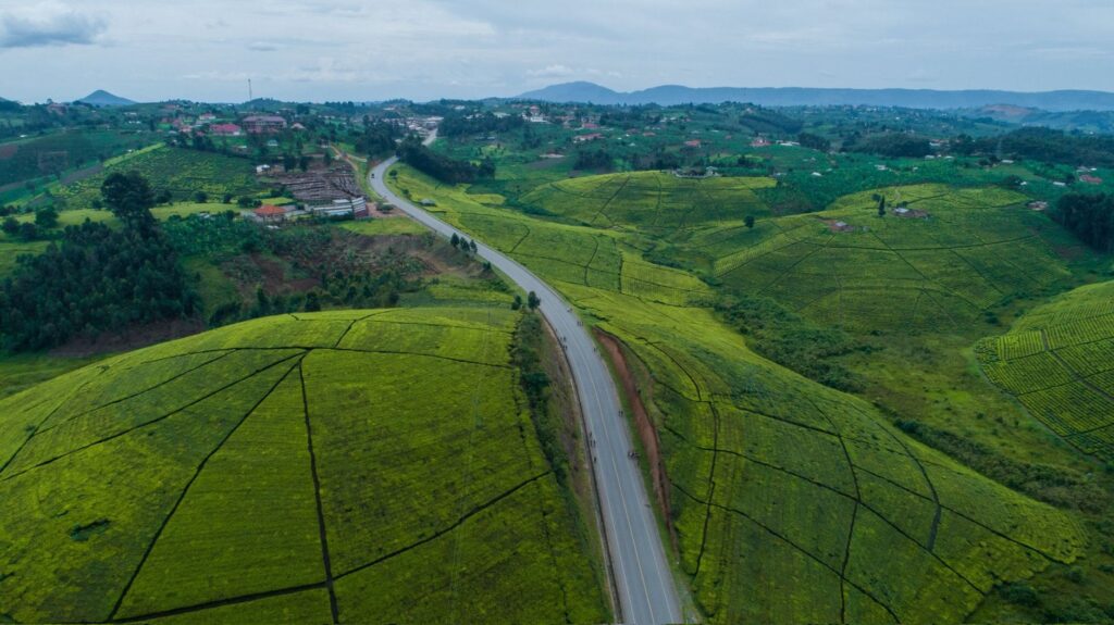 Traversée de l'Ouganda profond - Lac Albert – Région de Hoima – Forêt de Kibale, Ouganda