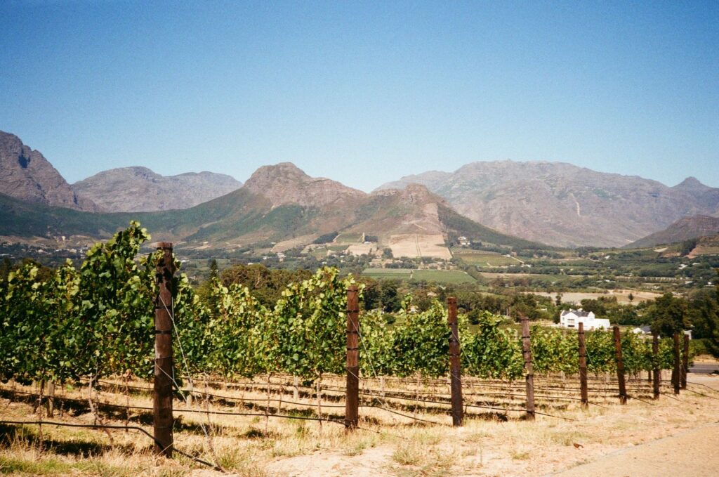 Route des Vins en Wine Tram - Le Cap – Route des Vins – Le Cap, Afrique du Sud