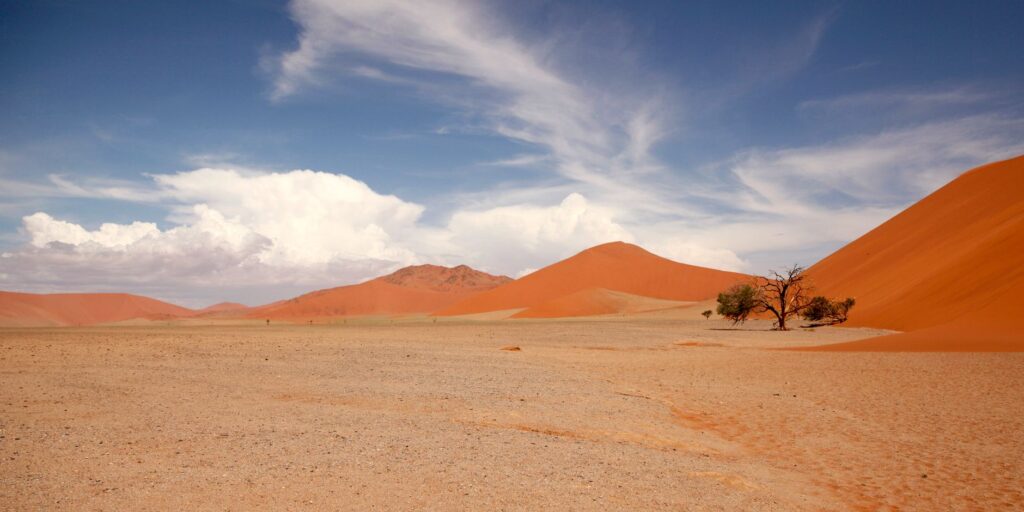 Route vers le Kalahari et rencontre Bushmen - Désert du Namib / Mariental, Namibie