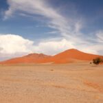 Route vers le Kalahari et rencontre Bushmen - Désert du Namib / Mariental, Namibie