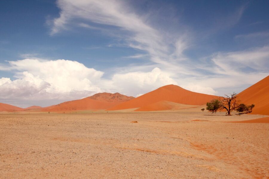 Route vers le Kalahari et rencontre Bushmen - Désert du Namib / Mariental, Namibie