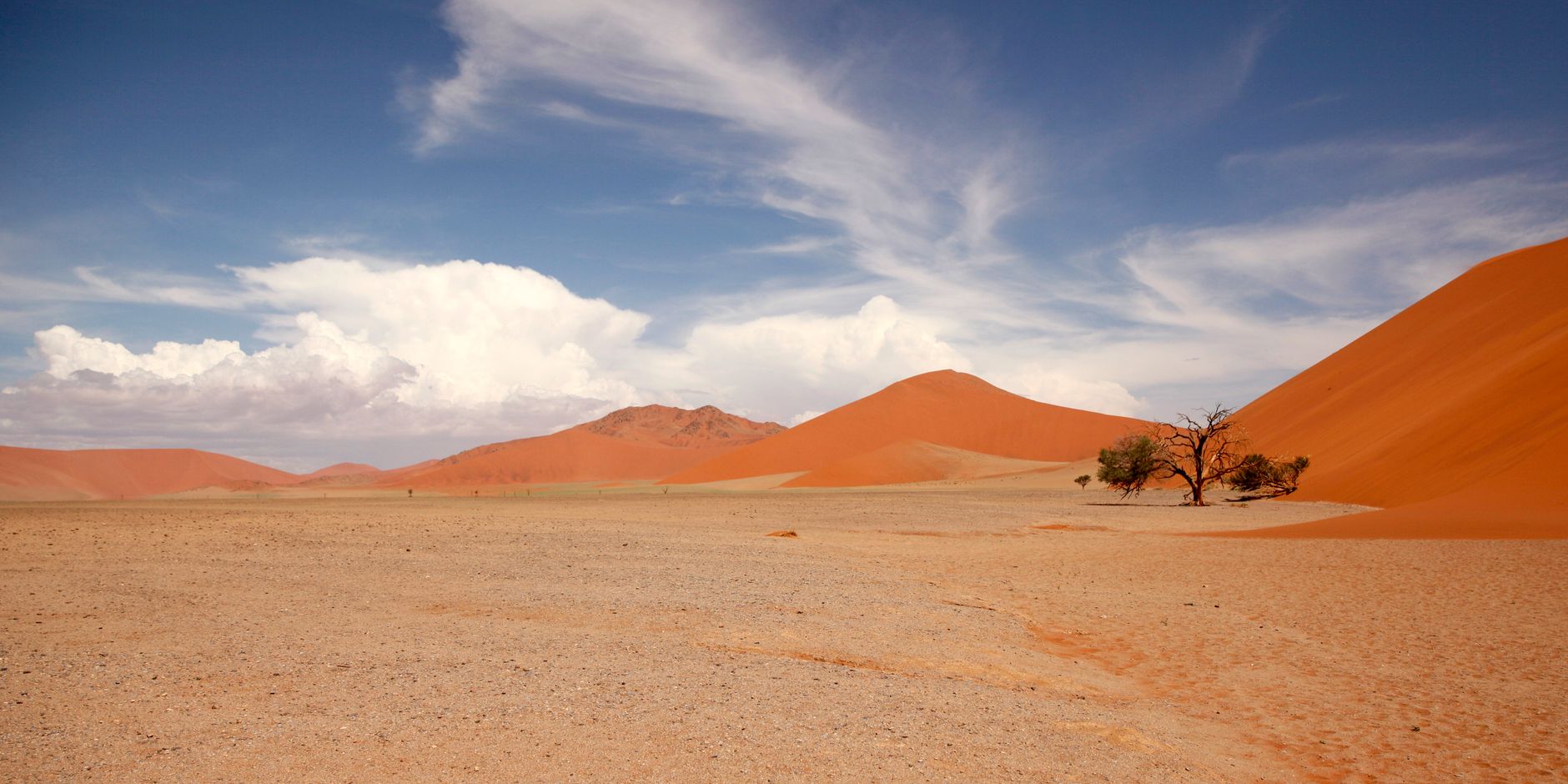 Route vers le Kalahari et rencontre Bushmen - Désert du Namib / Mariental, Namibie