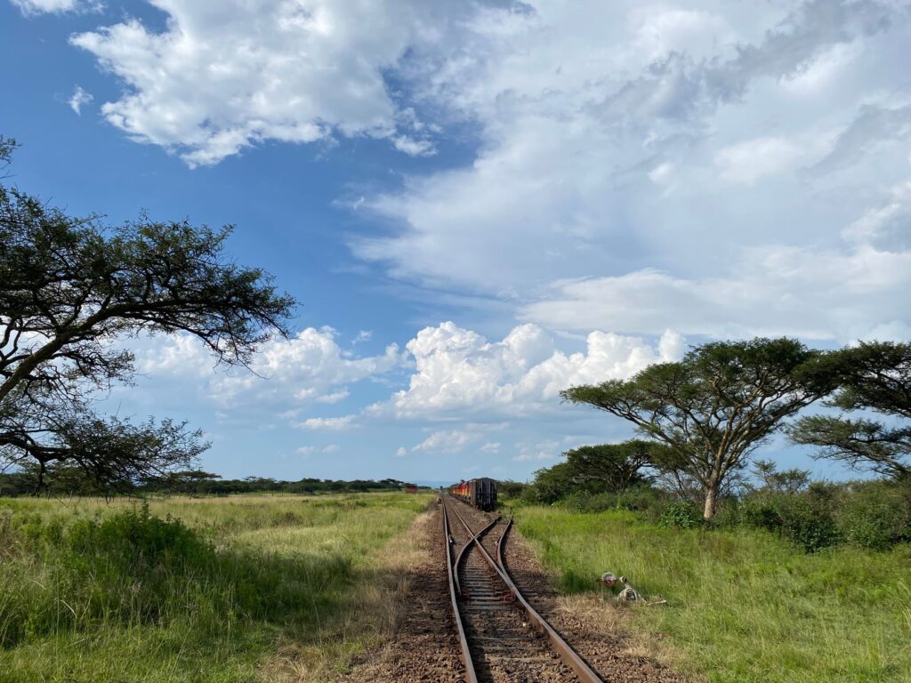 Train vers Nairobi et Dîner Carnivore - Nairobi, Kenya