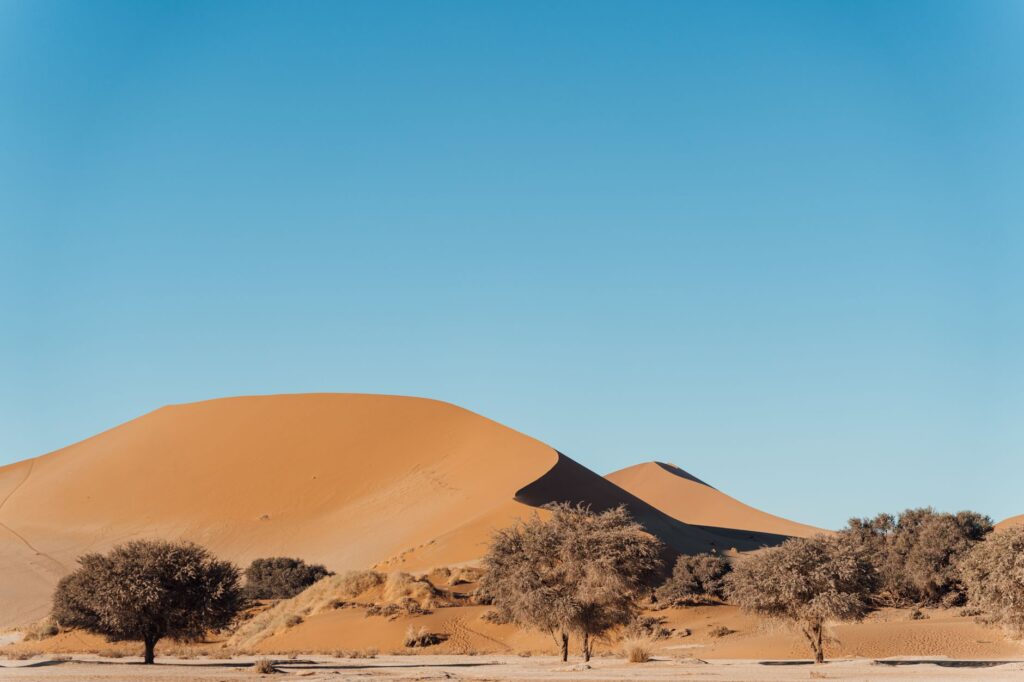 Retour vers Windhoek - Mariental / Windhoek, Namibie