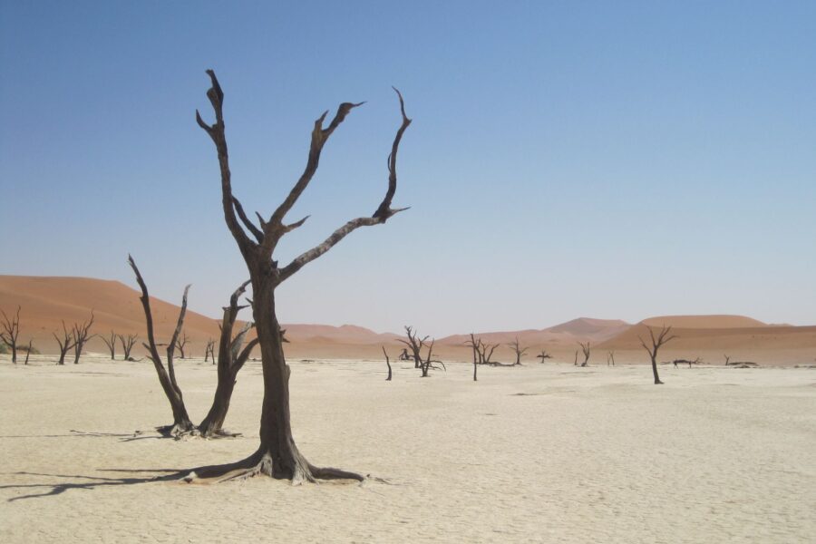 Sossusvlei et Dead Vlei, cœur du Namib - Désert du Namib - Sossusvlei, Namibie