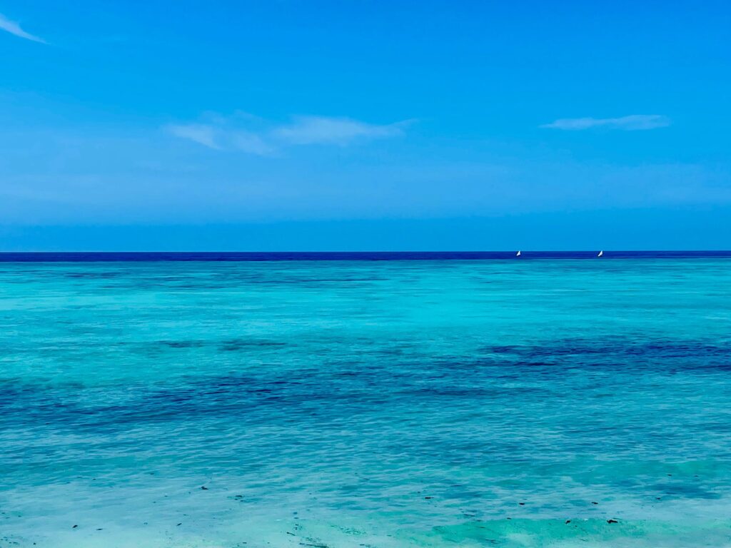 Journée libre sur les plages de Zanzibar - Zanzibar, Tanzanie