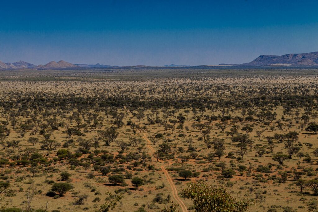 Envol pour la Namibie - France → Windhoek, Namibie