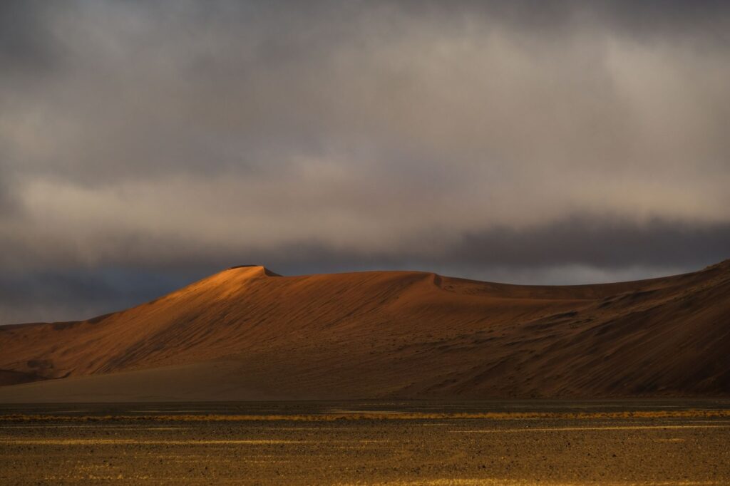 Traversée du Namib et safari au coucher du soleil - Swakopmund → Désert du Namib, Namibie