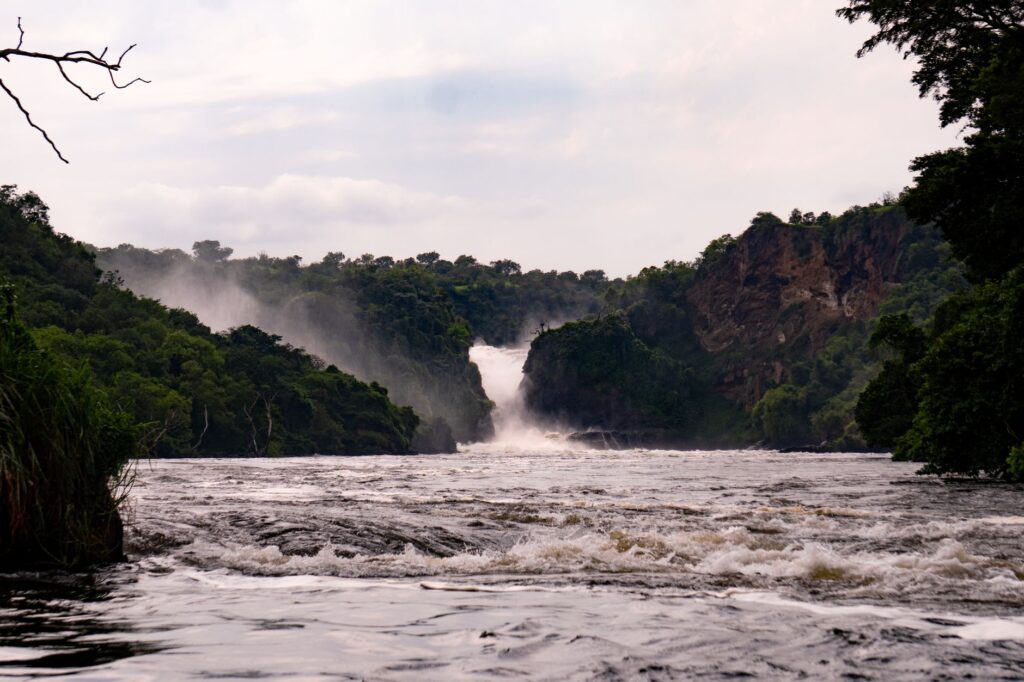 Marche aux rhinocéros et chutes du Nil - Sanctuaire de Ziwa – Parc de Murchison Falls, Ouganda