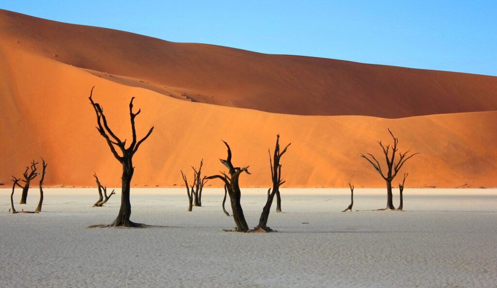 Sossusvlei, Dead Vlei et Canyon de Sesriem - Désert du Namib (Sossusvlei), Namibie