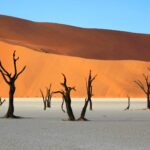Sossusvlei, Dead Vlei et Canyon de Sesriem - Désert du Namib (Sossusvlei), Namibie