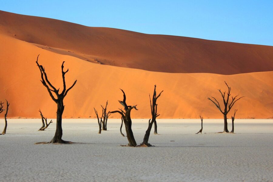 Sossusvlei, Dead Vlei et Canyon de Sesriem - Désert du Namib (Sossusvlei), Namibie
