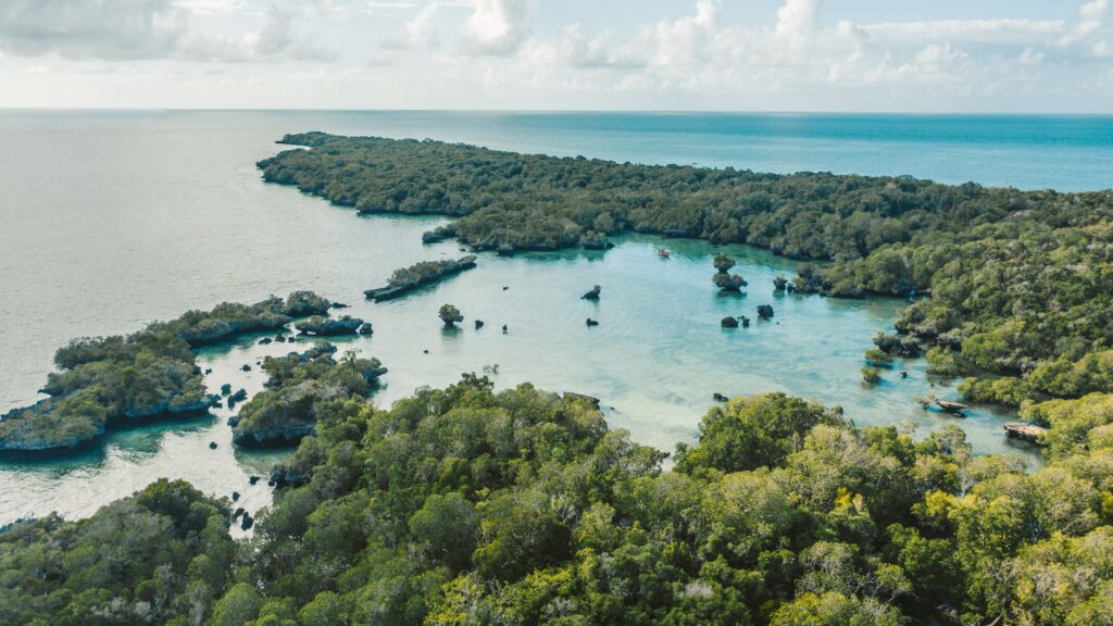 Dernière matinée à Zanzibar et vol retour - Zanzibar - Vol retour, Tanzanie